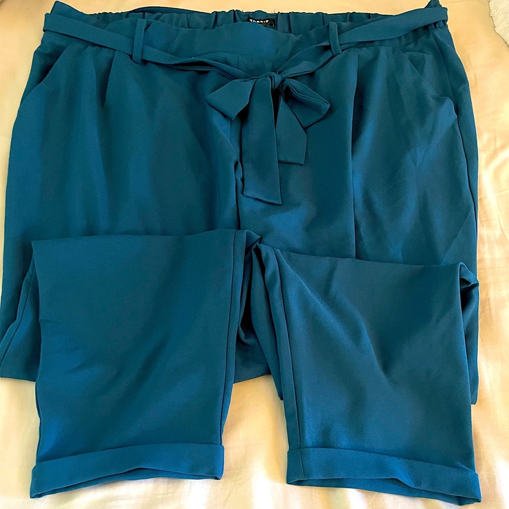 Torrid tie front pants